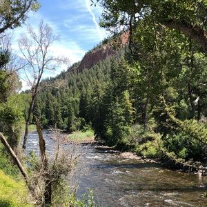 Meet your Posher, Rose